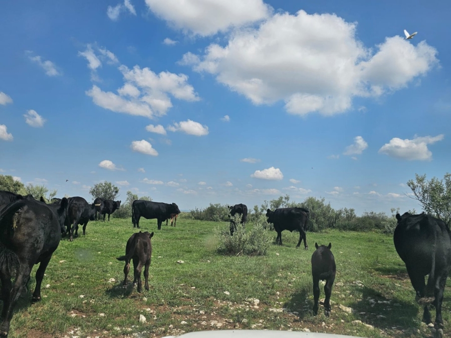4 Bedroom Property for Sale in Jan Kempdorp Rural Northern Cape